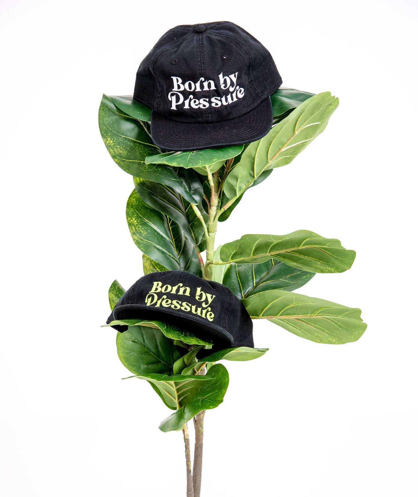 Born by Pressure Hat